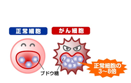 がん細胞が正常細胞より多くのブドウ糖を取り込むことの説明図