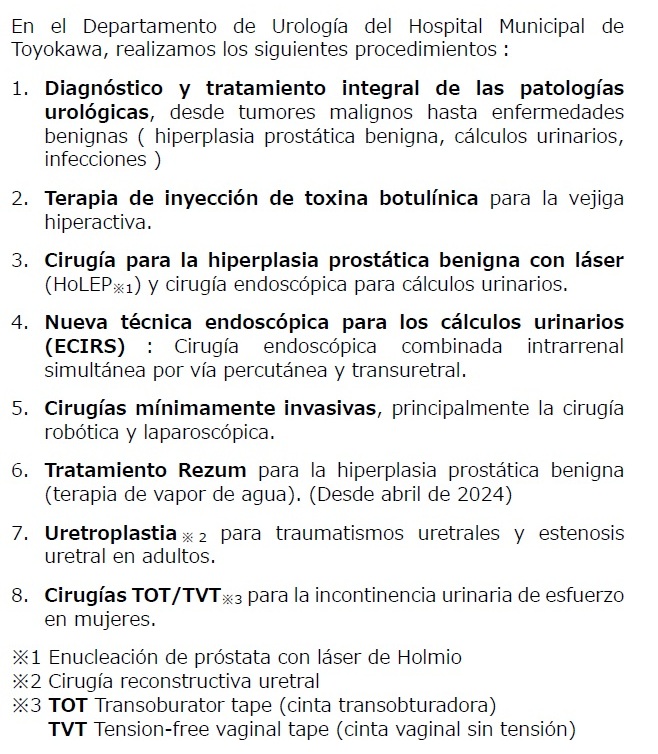 翻訳（スペイン語）